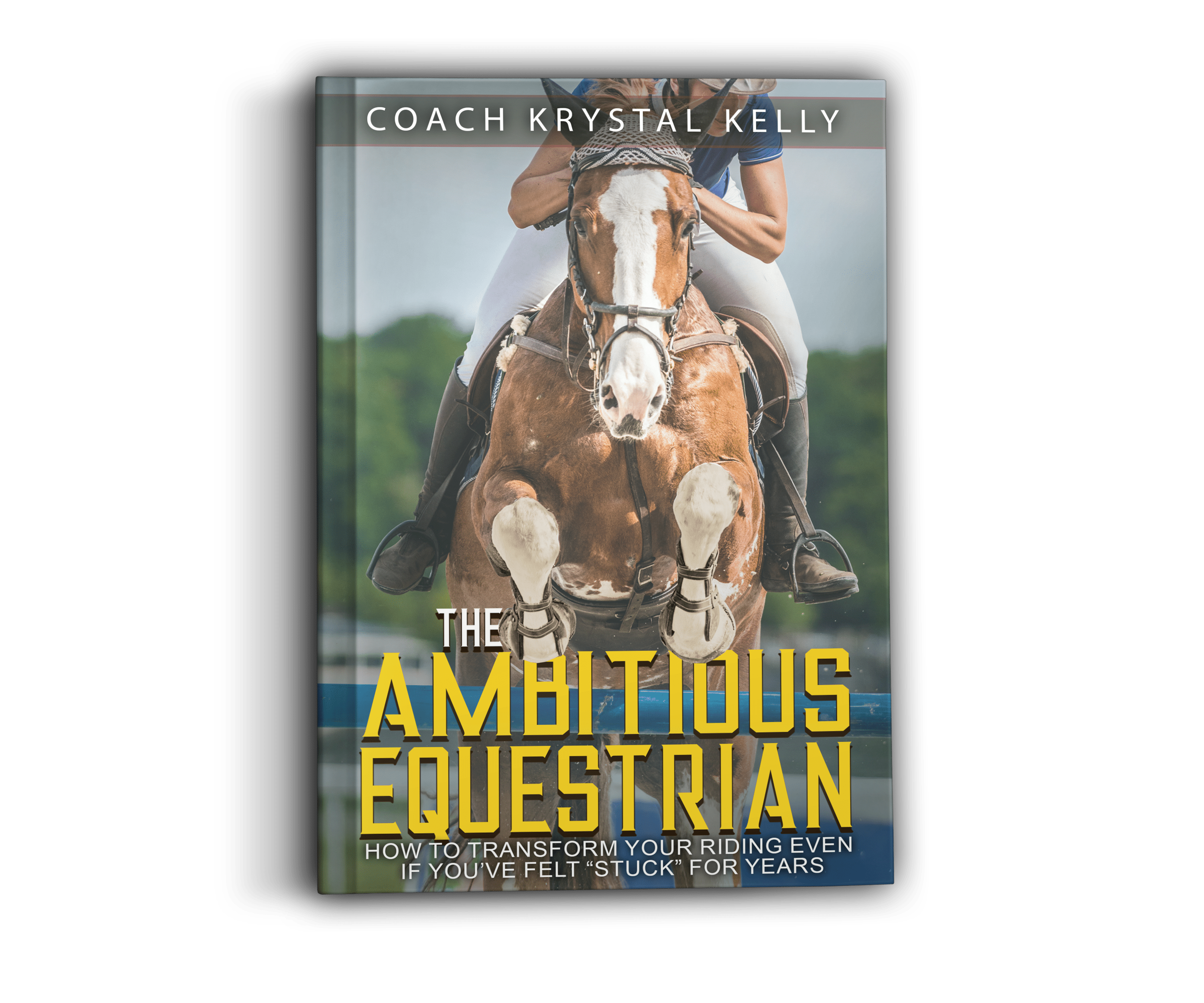 The Ambitious Equestrian Book